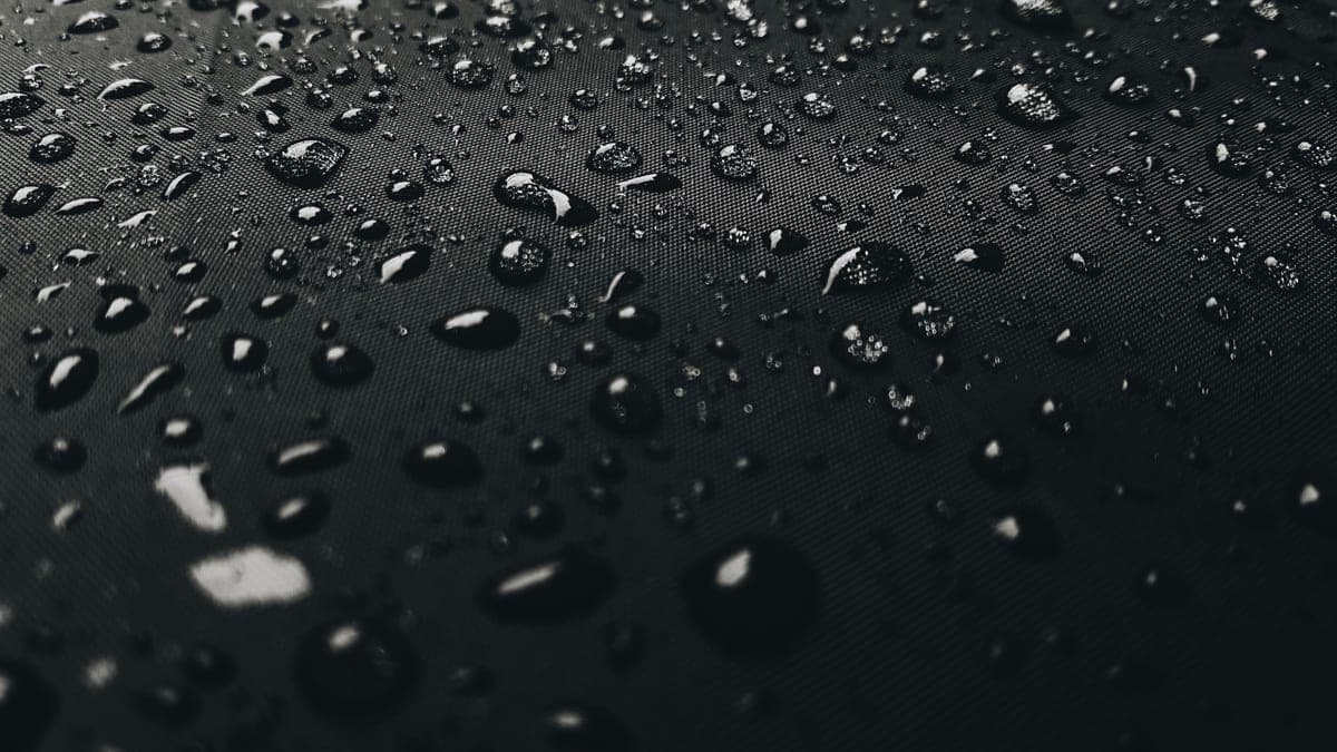 Macro water droplets beading on a deep gloss-black surface